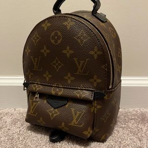 ⭐️SOLD⭐️ LV Palm Springs Mini in Monogram